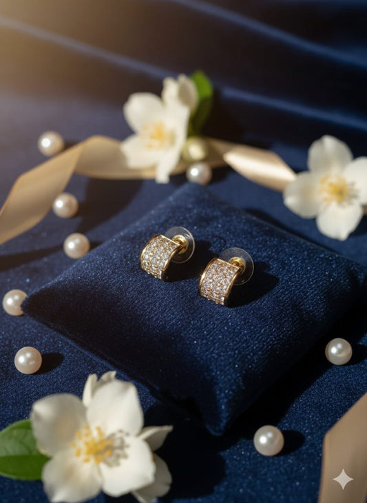 Elegant Earrings ER03