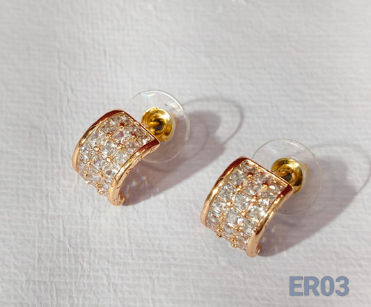 Elegant Earrings ER03