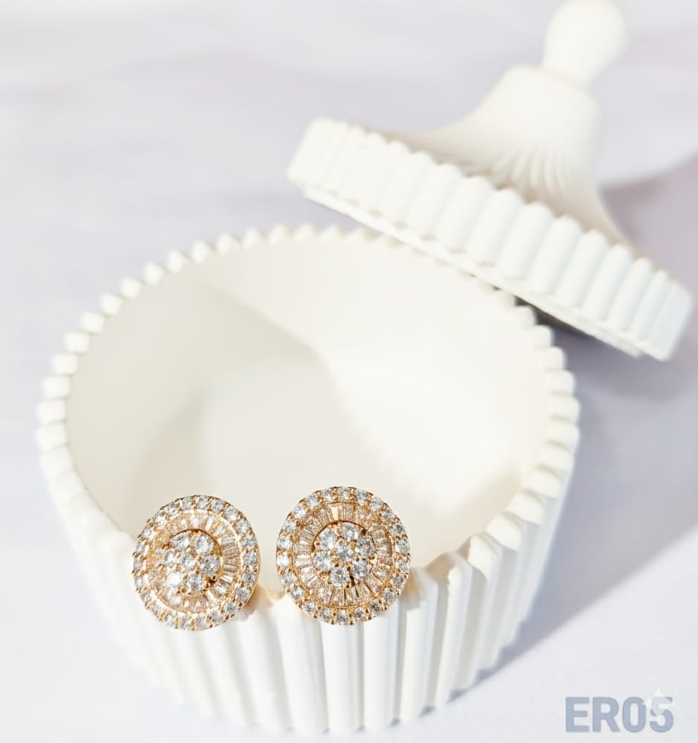 Elegant Earrings ER05