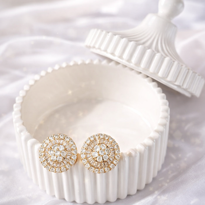 Elegant Earrings ER05