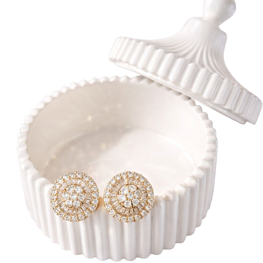 Elegant Earrings ER05